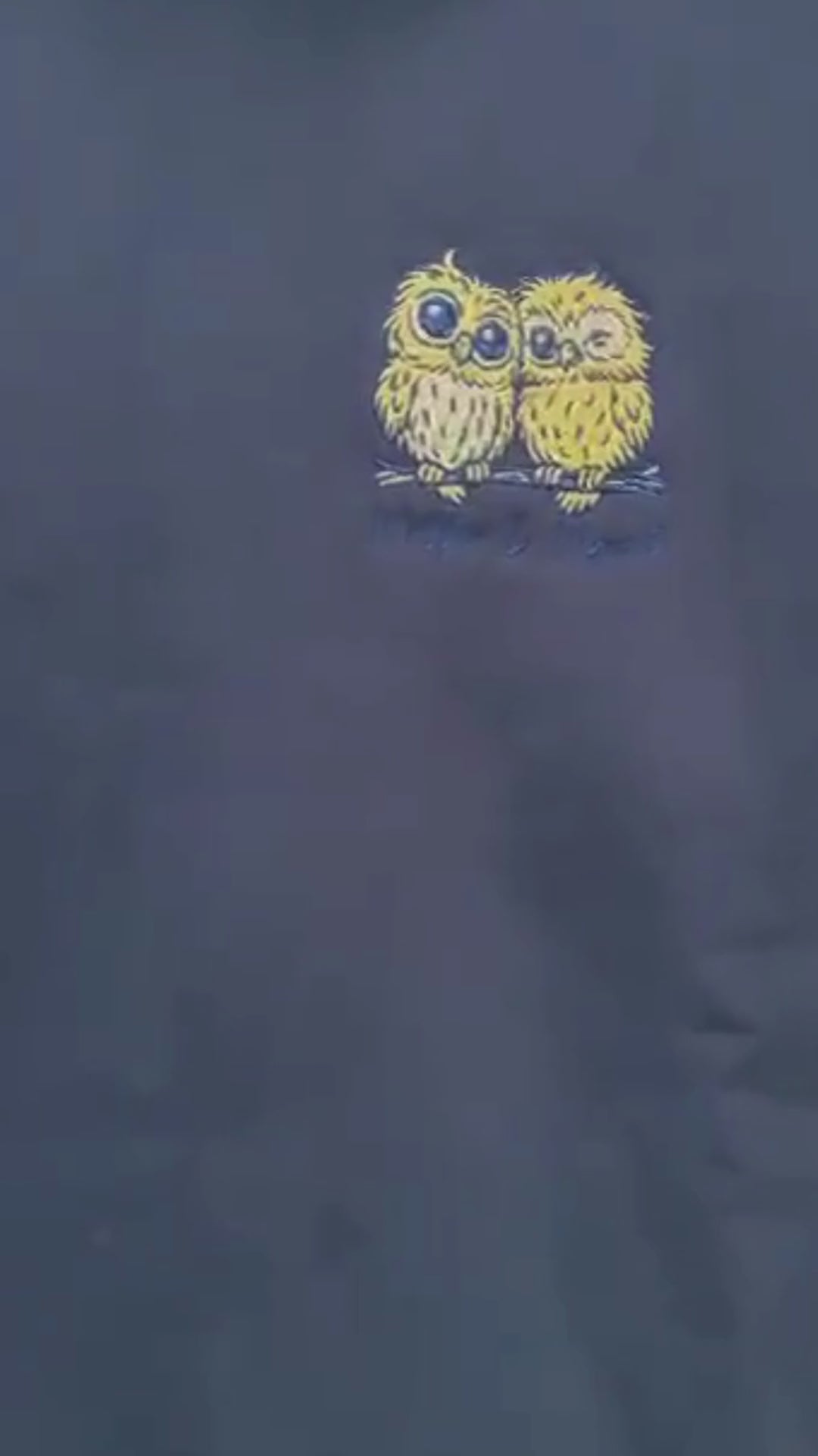 Night Owls Embroidered Sweatshirt Navy